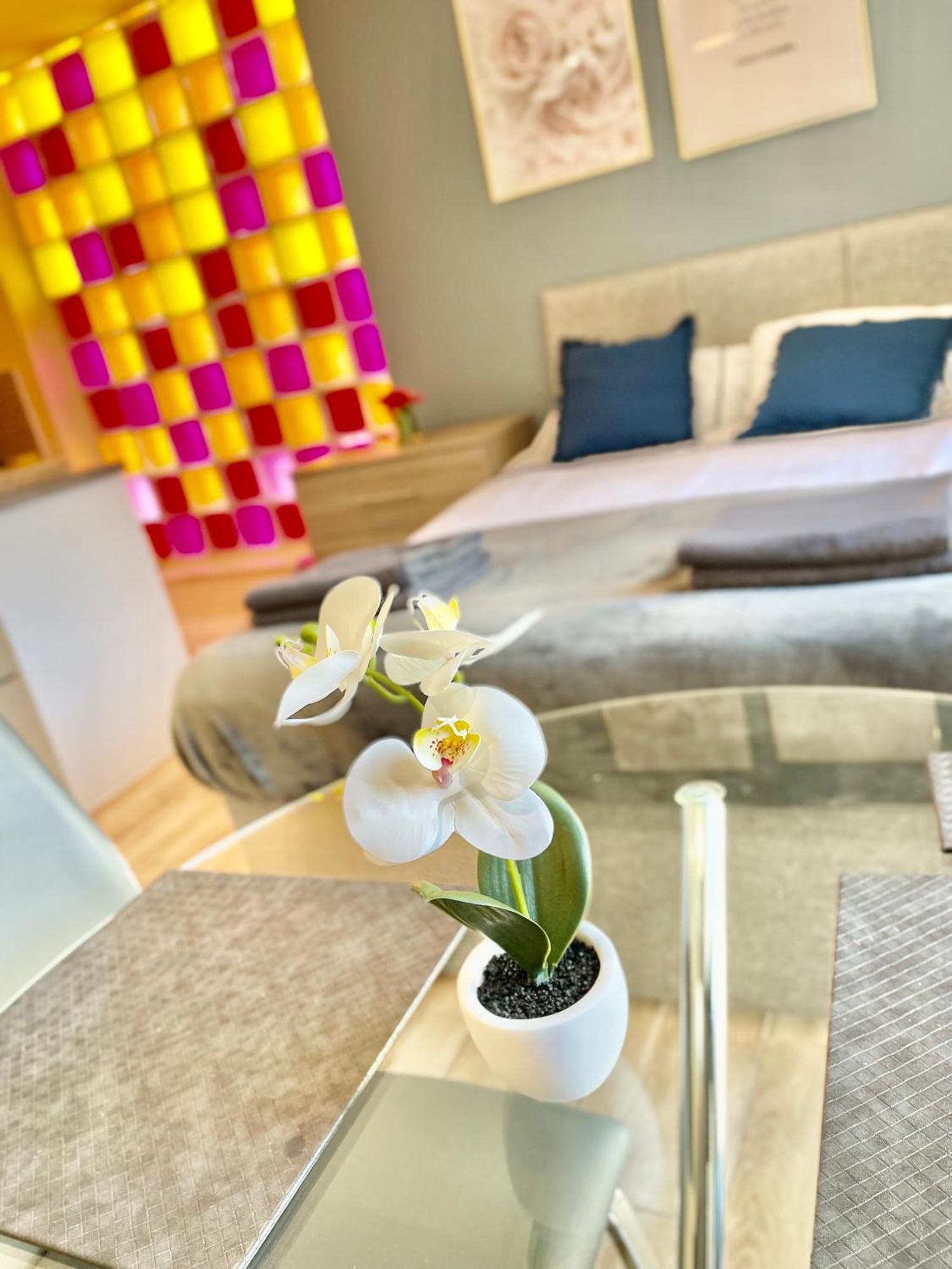 Cambridge City Centre Immaculate Studio Sleeps 2 - Central Location Paradise Street Exteriör bild